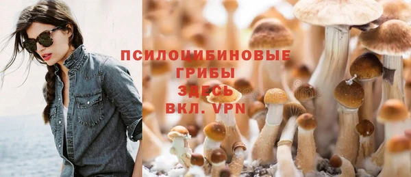 соль курить ск Горно-Алтайск